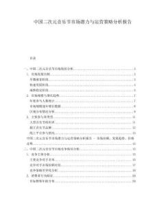 中國二次元音樂節(jié)市場潛力與運營策略分析報告