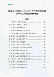 蒜香開心果行業(yè)2026-2030年產(chǎn)業(yè)發(fā)展現(xiàn)狀及未來發(fā)展趨勢分析研究