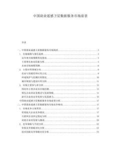 中國商業遙感衛星數據服務市場前景