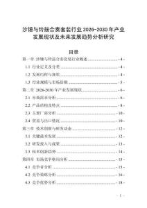 沙錘與鈴鼓合奏套裝行業2026-2030年產業發展現狀及未來發展趨勢分析研究