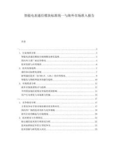 智能電表通信模塊標準統(tǒng)一與海外市場準入報告