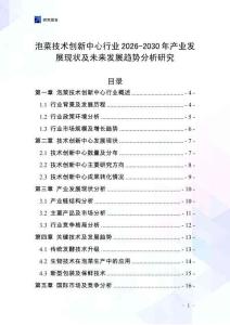 泡菜技術(shù)創(chuàng)新中心行業(yè)2026-2030年產(chǎn)業(yè)發(fā)展現(xiàn)狀及未來發(fā)展趨勢分析研究