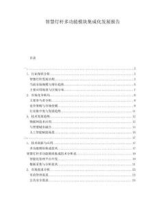 智慧燈桿多功能模塊集成化發(fā)展報(bào)告