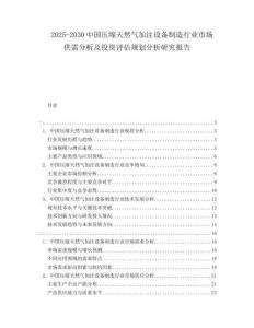 2025-2030中國壓縮天然氣加注設(shè)備制造行業(yè)市場供需分析及投資評(píng)估規(guī)劃分析研究報(bào)告