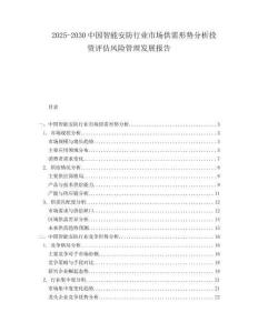 2025-2030中國智能安防行業(yè)市場供需形勢分析投資評估風險管理發(fā)展報告