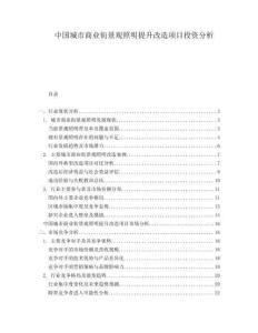 中國(guó)城市商業(yè)街景觀照明提升改造項(xiàng)目投資分析