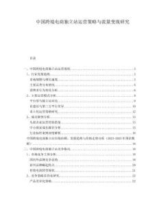 中國(guó)跨境電商獨(dú)立站運(yùn)營(yíng)策略與流量變現(xiàn)研究
