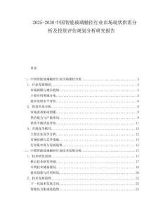 2025-2030中國智能玻璃觸控行業(yè)市場現(xiàn)狀供需分析及投資評(píng)估規(guī)劃分析研究報(bào)告