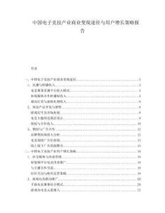 中國(guó)電子競(jìng)技產(chǎn)業(yè)商業(yè)變現(xiàn)途徑與用戶增長(zhǎng)策略報(bào)告