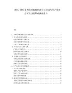 2025-2030非洲紡織機械制造行業(yè)現(xiàn)狀與生產(chǎn)效率分析及投資策略優(yōu)化報告