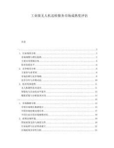 工業(yè)級(jí)無(wú)人機(jī)巡檢服務(wù)市場(chǎng)成熟度評(píng)估