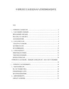 中國吸頂燈行業(yè)渠道布局與營銷策略深度研究