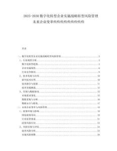 2025-2030數(shù)字化轉(zhuǎn)型企業(yè)實施戰(zhàn)略轉(zhuǎn)型風(fēng)險管理未來企業(yè)變革些些些些些些些些些