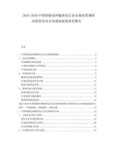 2025-2030中國智能電網(wǎng)輸變電行業(yè)市場(chǎng)供需調(diào)研及投資布局方向規(guī)劃深度研究報(bào)告