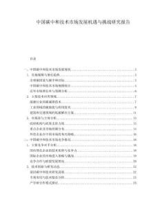 中國碳中和技術(shù)市場發(fā)展機遇與挑戰(zhàn)研究報告