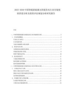 2025-2030中國智能新能源太陽能發(fā)電行業(yè)市場現(xiàn)狀供需分析及投資評估規(guī)劃分析研究報告