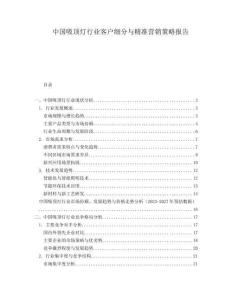 中國吸頂燈行業(yè)客戶細分與精準營銷策略報告
