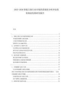 2025-2030智能方案行業(yè)市場供需現(xiàn)狀分析評估投資規(guī)劃發(fā)展研究報告