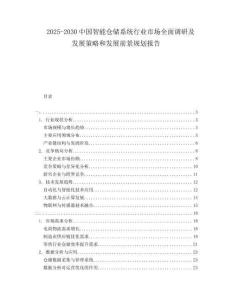 2025-2030中國智能倉儲系統(tǒng)行業(yè)市場全面調(diào)研及發(fā)展策略和發(fā)展前景規(guī)劃報告