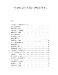 中國化妝品行業(yè)消費(fèi)升級與品牌競爭分析報(bào)告