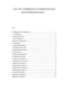 2025-2030中國數(shù)據(jù)處理行業(yè)市場現(xiàn)狀效率分析及投資評估規(guī)劃分析研究報告