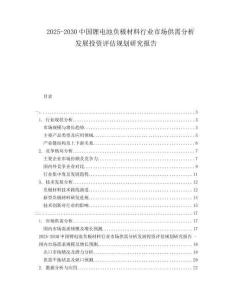 2025-2030中國鋰電池負極材料行業(yè)市場供需分析發(fā)展投資評估規(guī)劃研究報告