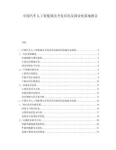 中國汽車人工智能算法開發(fā)應(yīng)用及商業(yè)化落地報(bào)告