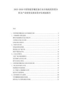 2025-2030中國智能穿戴設(shè)備行業(yè)市場現(xiàn)狀供需分析及產(chǎn)業(yè)投資發(fā)展前景評估規(guī)劃報告