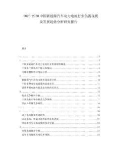 2025-2030中國新能源汽車動力電池行業(yè)供需現(xiàn)狀及發(fā)展趨勢分析研究報告