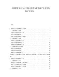 中國(guó)鋰離子電池材料技術(shù)突破與新能源產(chǎn)業(yè)投資風(fēng)險(xiǎn)評(píng)估報(bào)告