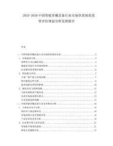 2025-2030中國智能穿戴設備行業(yè)市場供需現狀投資評估規(guī)劃分析發(fā)展報告