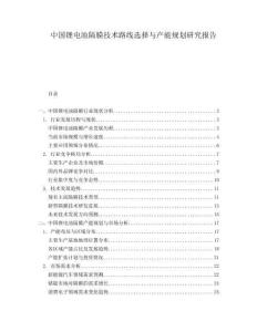 中國(guó)鋰電池隔膜技術(shù)路線選擇與產(chǎn)能規(guī)劃研究報(bào)告