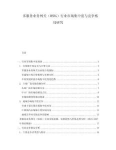 多服務(wù)業(yè)務(wù)網(wǎng)關(guān)（MSBG）行業(yè)市場(chǎng)集中度與競(jìng)爭(zhēng)格局研究