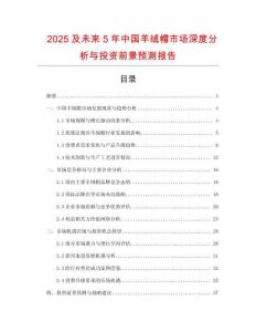 2025及未來5年中國羊絨帽市場深度分析與投資前景預測報告