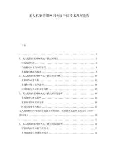 無人機集群組網網關抗干擾技術發展報告