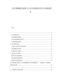 社區團購模式創新與下沉市場增量空間專項調研報告
