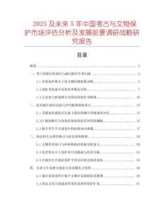 2025及未來5年中國考古與文物保護市場評估分析及發(fā)展前景調(diào)研戰(zhàn)略研究報告