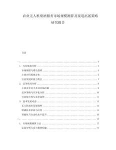 農業無人機噴灑服務市場規模測算及渠道拓展策略研究報告