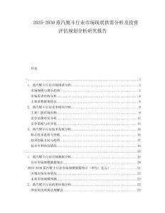 2025-2030蒸汽熨斗行業(yè)市場現(xiàn)狀供需分析及投資評估規(guī)劃分析研究報告