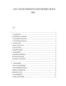 2025-2030隕石粉提取項(xiàng)目投資回報預(yù)測與商業(yè)化規(guī)劃