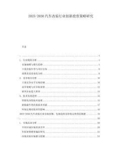 2025-2030汽車改裝行業(yè)創(chuàng)新投資策略研究