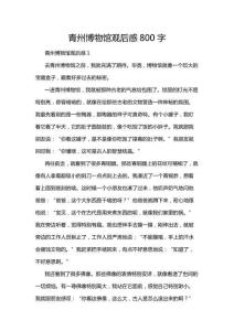 青州博物館觀后感800字