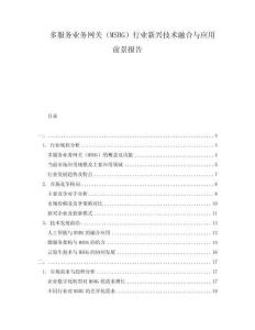 多服務(wù)業(yè)務(wù)網(wǎng)關(guān)（MSBG）行業(yè)新興技術(shù)融合與應(yīng)用前景報(bào)告