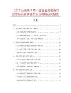 2025及未來5年中國畫面分割器行業市場前景預測及投資戰略研究報告