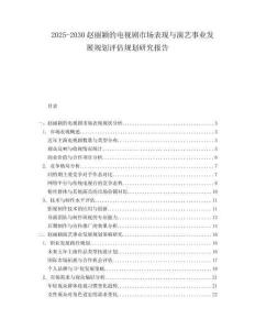 2025-2030趙麗穎的電視劇市場表現與演藝事業發展規劃評估規劃研究報告