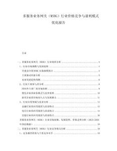 多服務(wù)業(yè)務(wù)網(wǎng)關(guān)（MSBG）行業(yè)價格競爭與盈利模式優(yōu)化報告