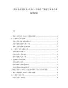 多服務(wù)業(yè)務(wù)網(wǎng)關(guān)（MSBG）市場推廣策略與媒體傳播效果評估