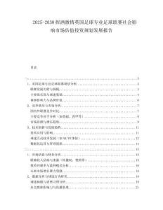 2025-2030揮灑激情英國足球?qū)I(yè)足球聯(lián)賽社會影響市場估值投資規(guī)劃發(fā)展報告