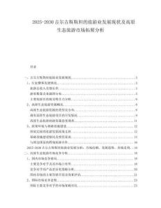 2025-2030吉爾吉斯斯坦的旅游業發展現狀及高原生態旅游市場拓展分析
