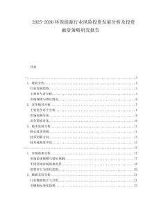 2025-2030環(huán)保能源行業(yè)風(fēng)險(xiǎn)投資發(fā)展分析及投資融資策略研究報(bào)告